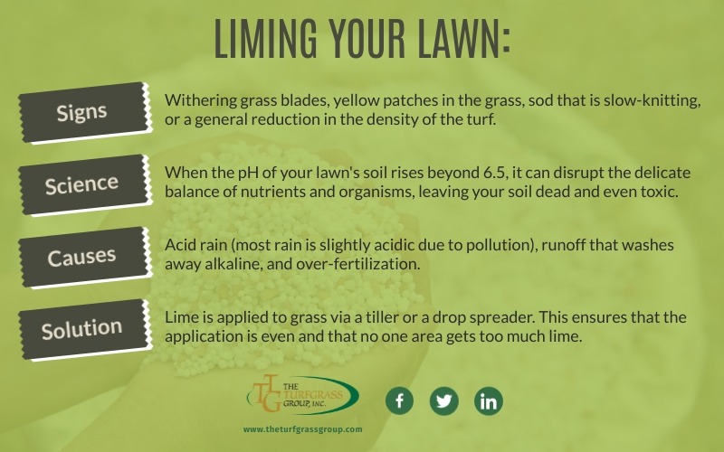 How to Fix Too Much Lime on Lawn