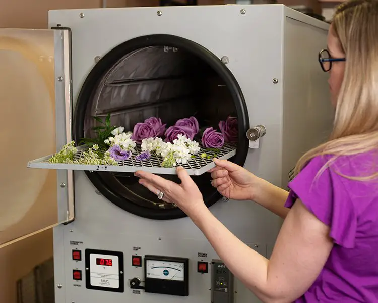 How to Freeze Dry a Flower