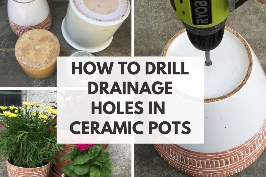 how to get plant out of ceramic pot