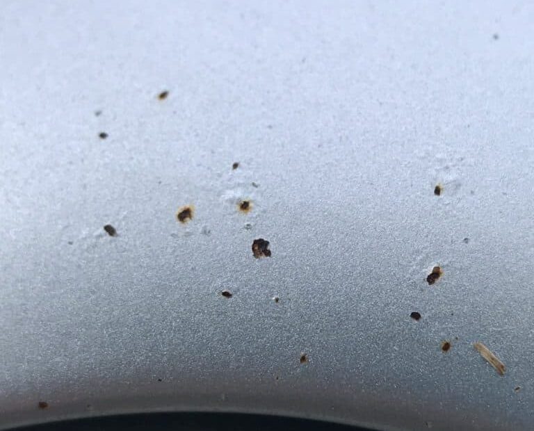 How to Get Rid of Artillery Fungus on Car