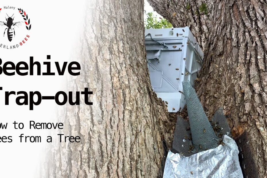 how to get rid of bees in a tree trunk