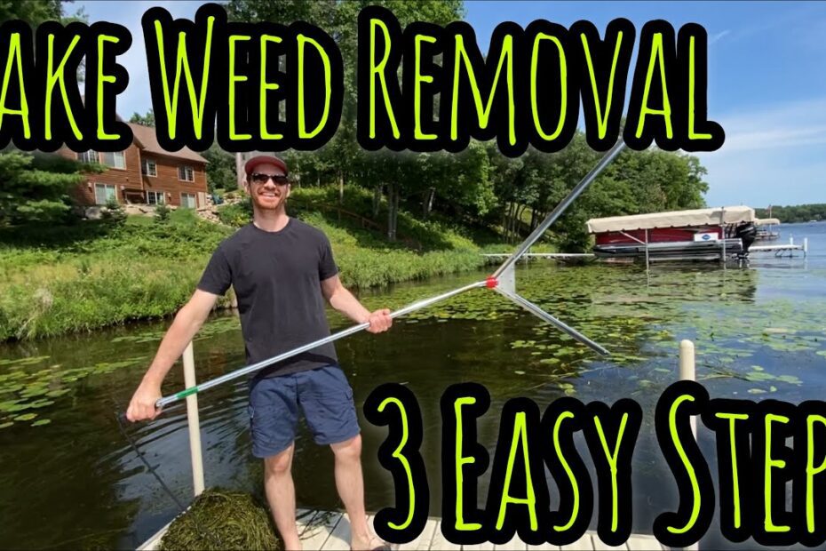 How to Get Rid of Weeds in a Pond