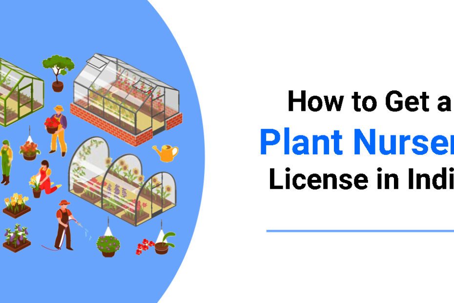 How to Get Wholesale Plant License