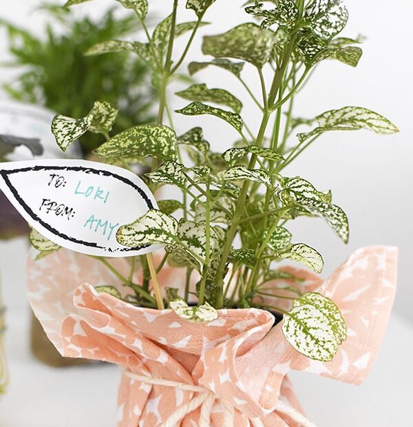 How to Gift Wrap Plant Pots