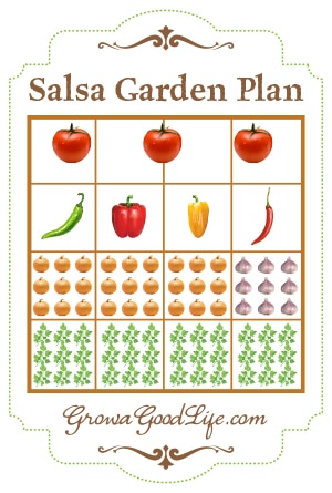 how to grow salsa garden