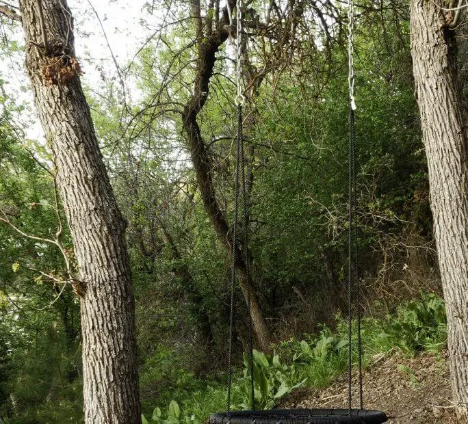 How to Hang a Swing from a Tree Without Branches – Up-Gardening