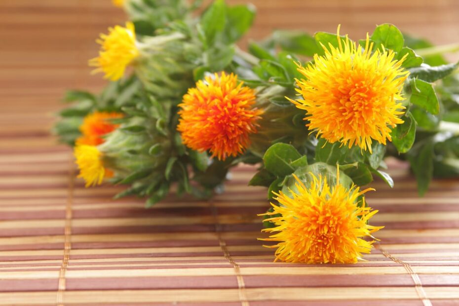 How to Harvest Safflower