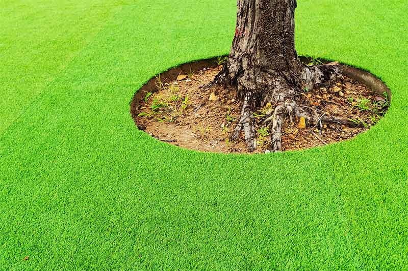 How to Install Artificial Grass Around a Tree