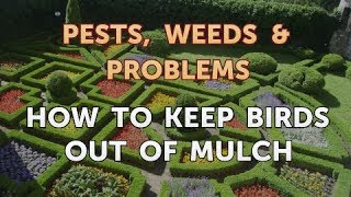 how to keep birds out of mulch