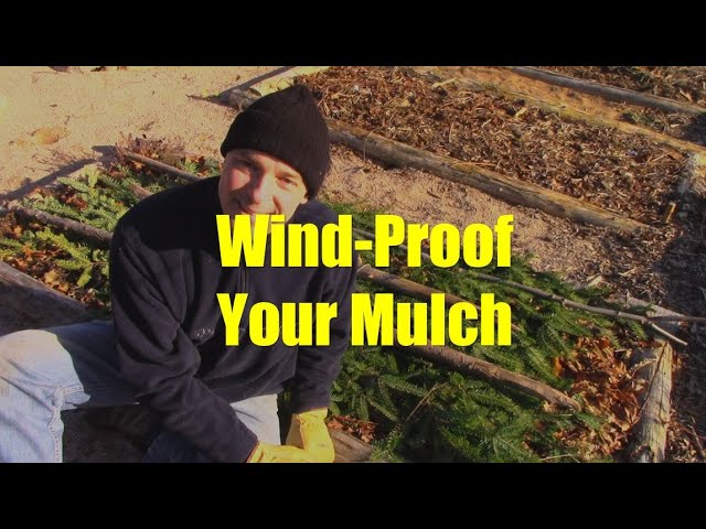 How to Keep Mulch from Blowing Away