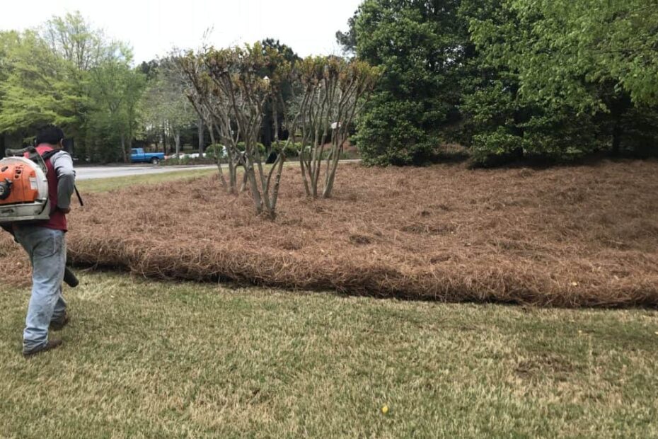 How to Lay Pine Straw in Flower Beds