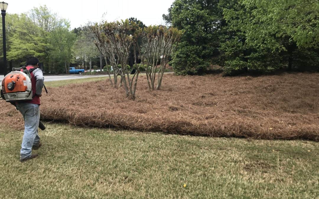 How to Lay Pine Straw in Flower Beds