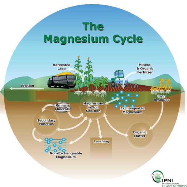 how to lower magnesium levels in soil