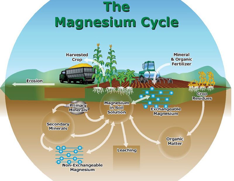 how-to-lower-magnesium-levels-in-soil