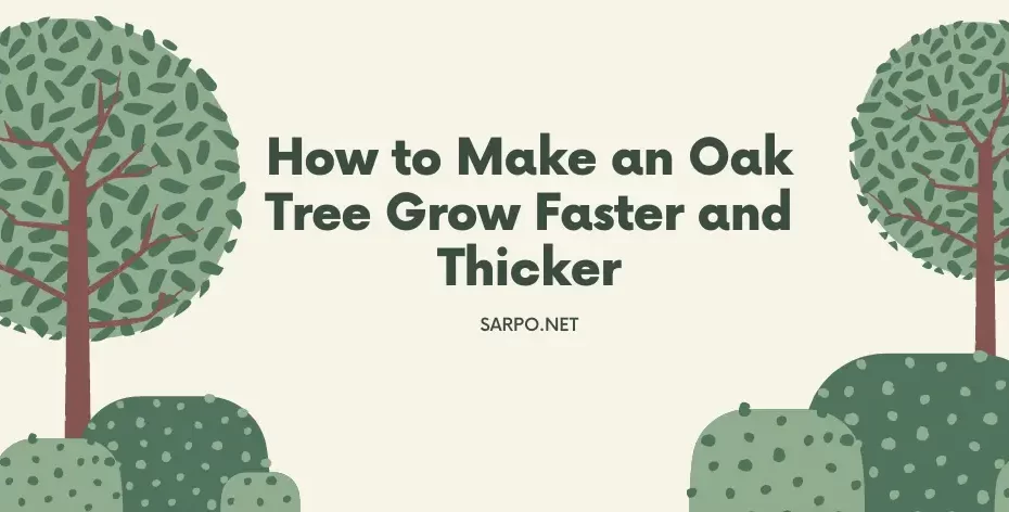 How to Make Oak Trees Grow Faster