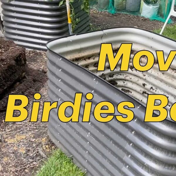 how to move a raised garden bed
