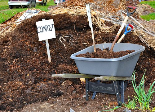 How to Neutralize Too Much Manure in Garden