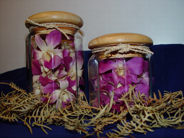 How to Preserve Orchid Flowers