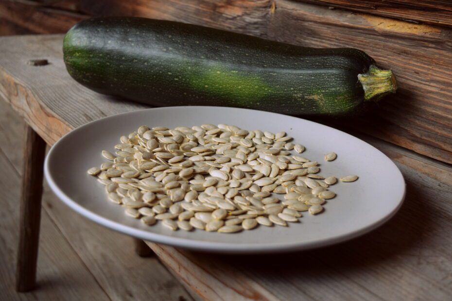 how to preserve zucchini seeds