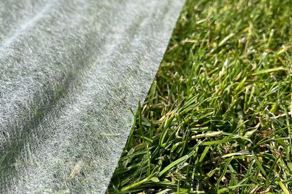 How to Protect New Grass Seedlings from Frost