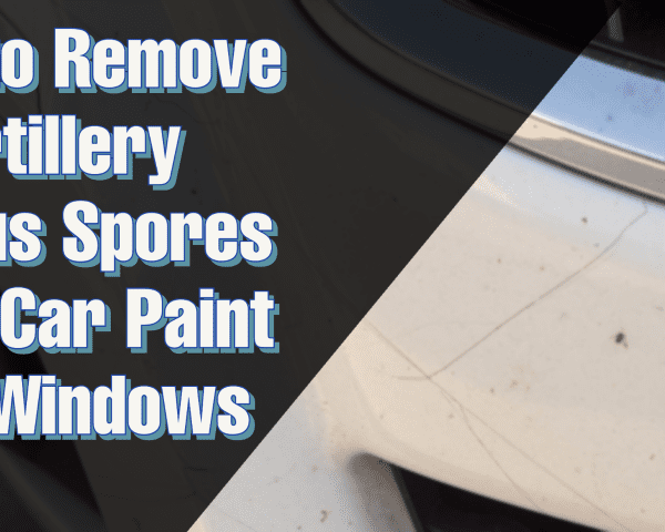 how to remove artillery fungus on car