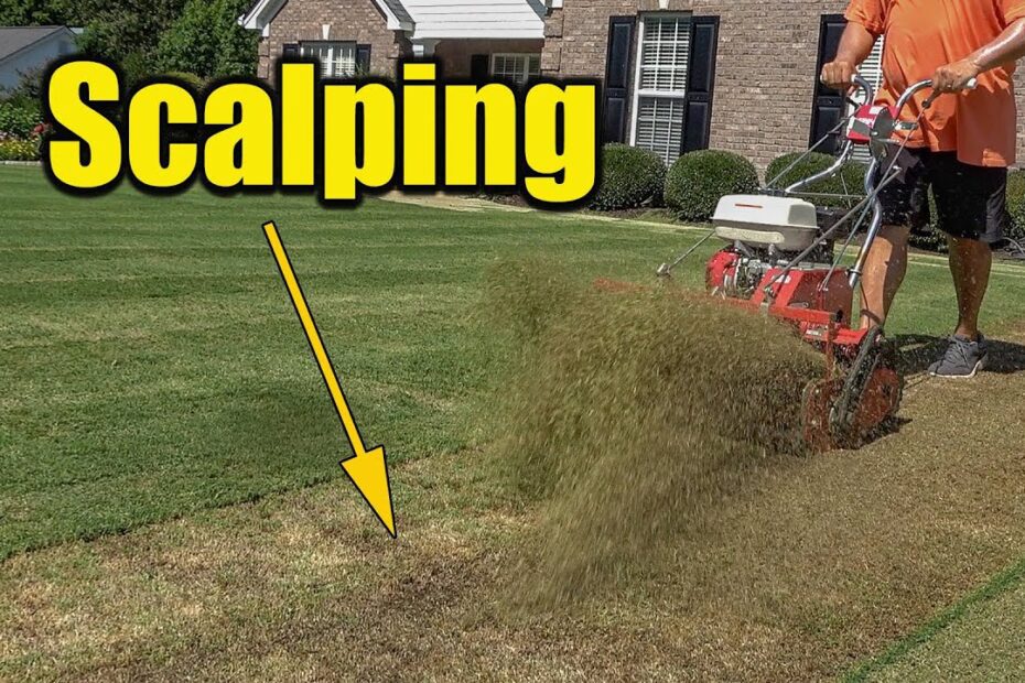 how to scalp a lawn