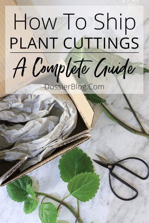 How to Ship Plant Cuttings