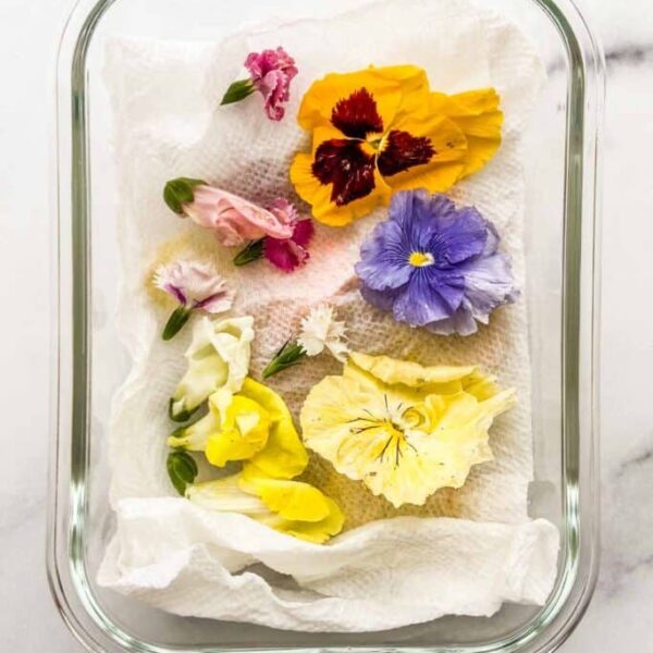 how to store edible flowers