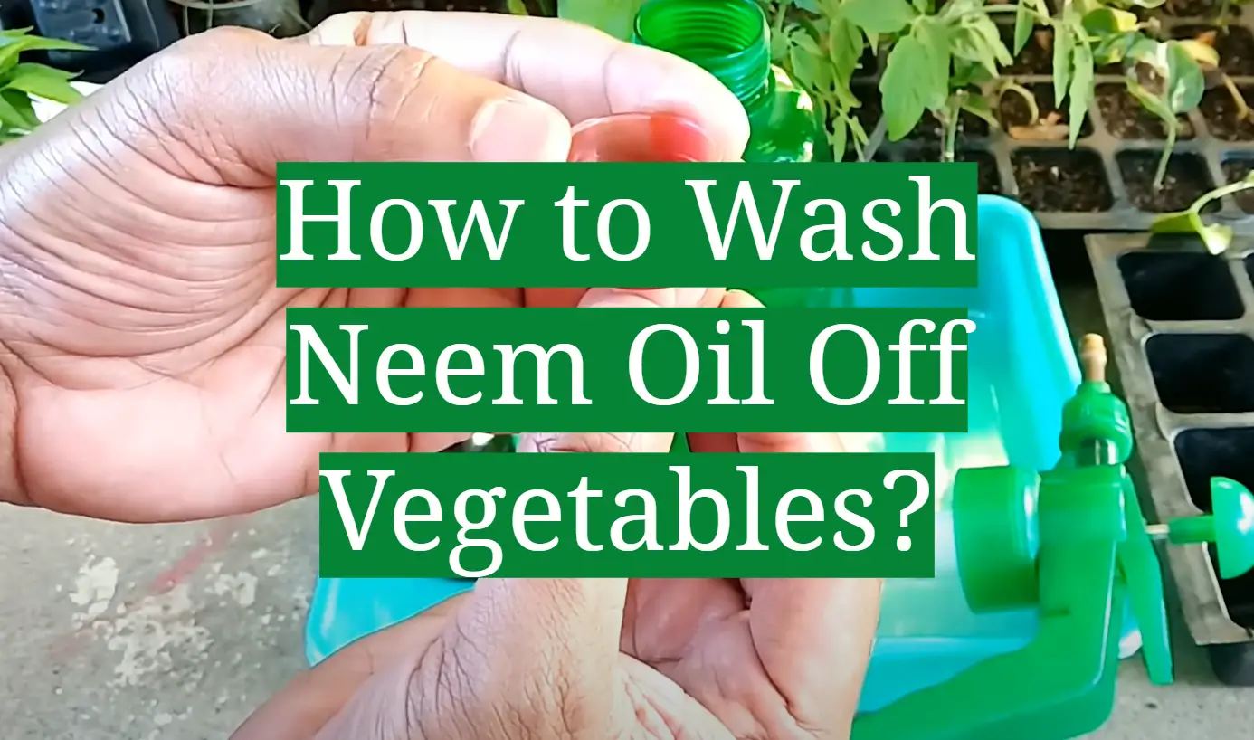 How to Wash Neem Oil off Vegetables