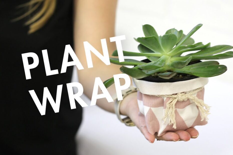 How to Wrap a Potted Plant with Fabric