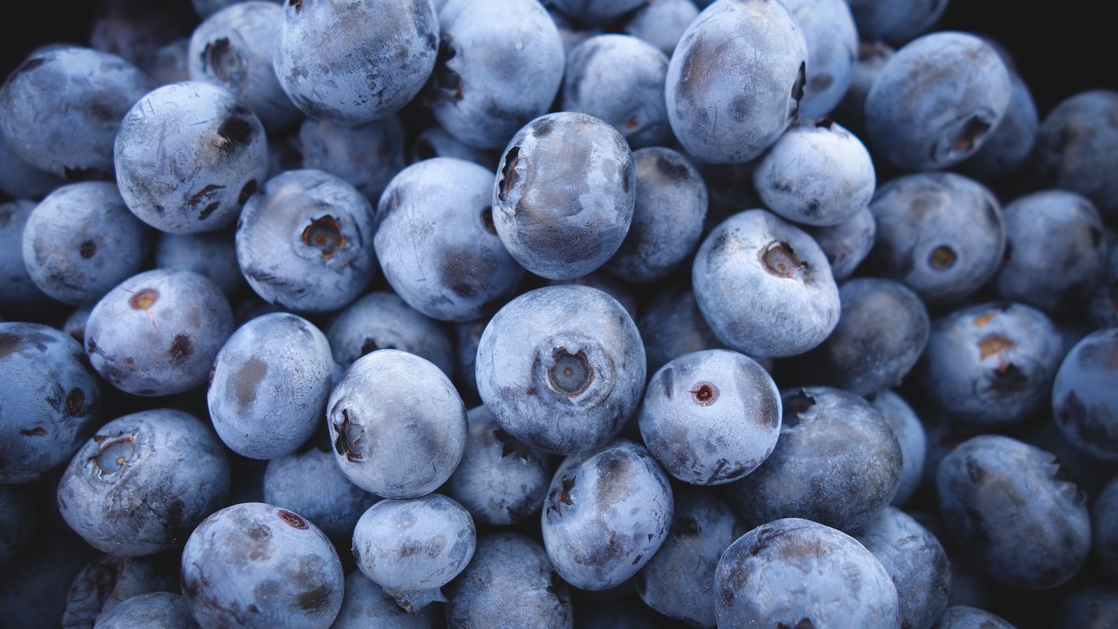 The Magic​ Mix: Planting Blueberries, Raspberries, and Blackberries Together