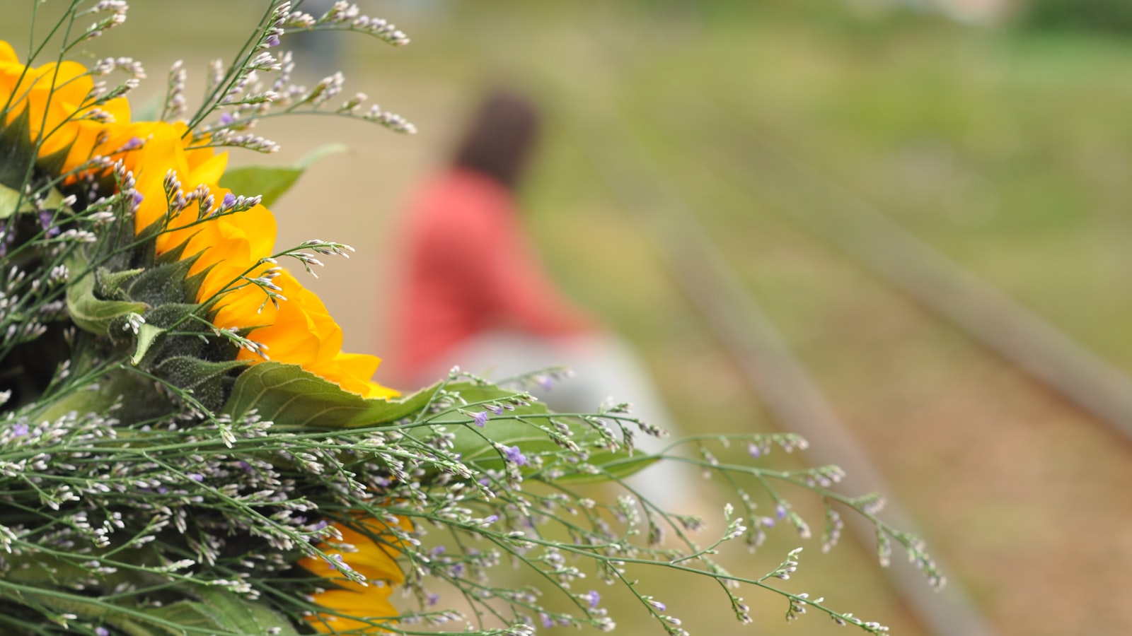 Harnessing the Mighty Sunflower: Tips for Supporting Stem Strength