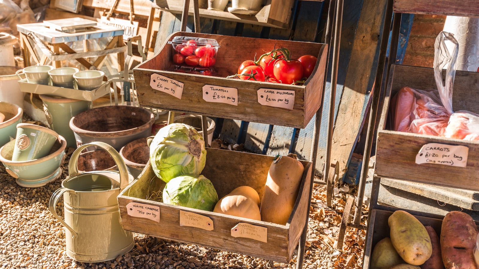 Expert-recommended vegetables⁣ that ⁣can withstand ⁣Utah's seasonal temperature fluctuations