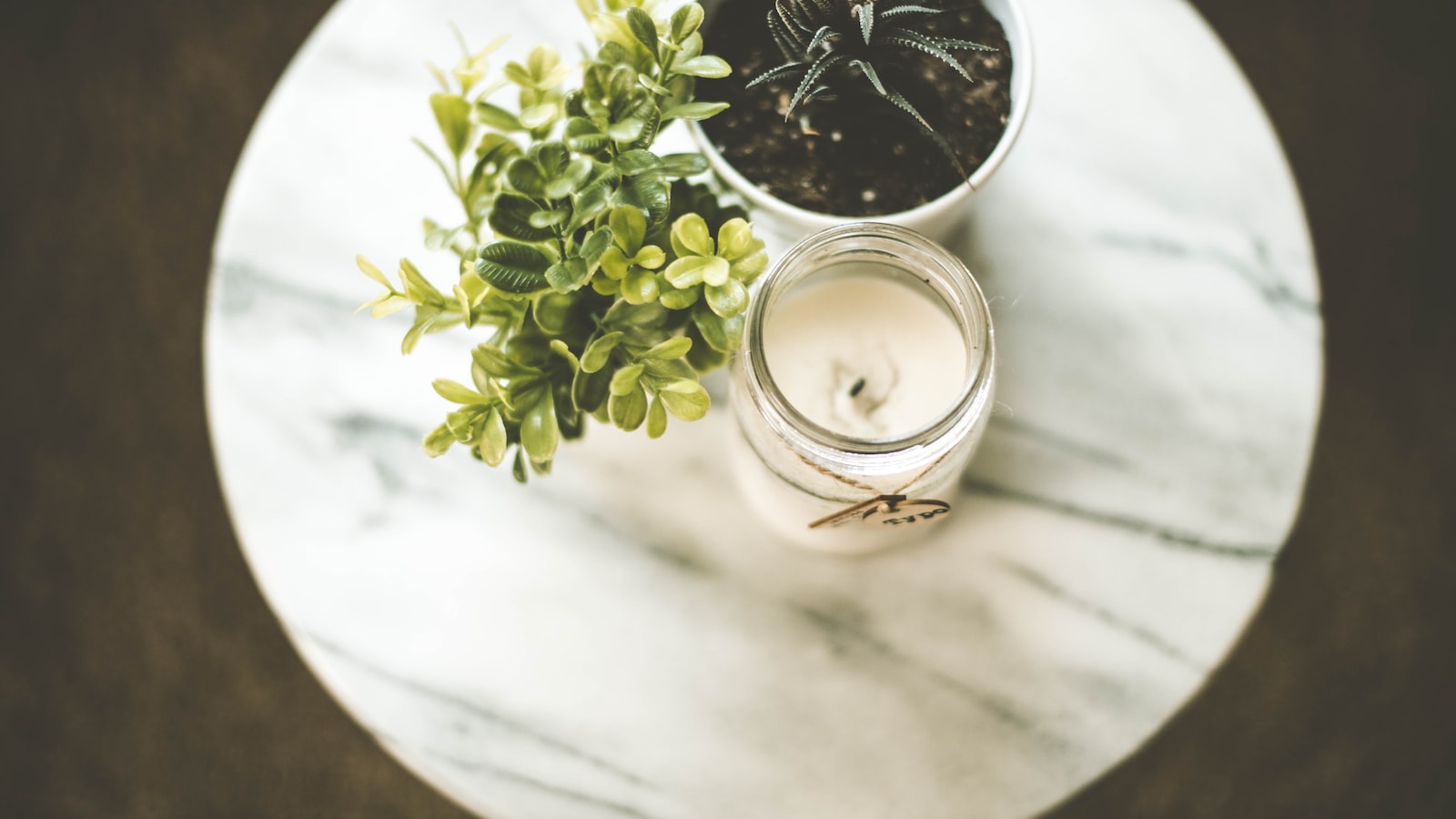 Complementary Companion Plants for Cantaloupe