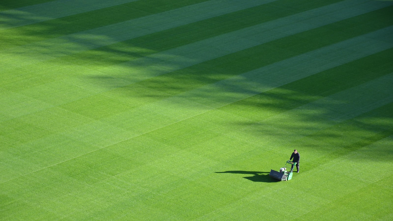 Taking care of your lawn while pregnant: A comprehensive guide