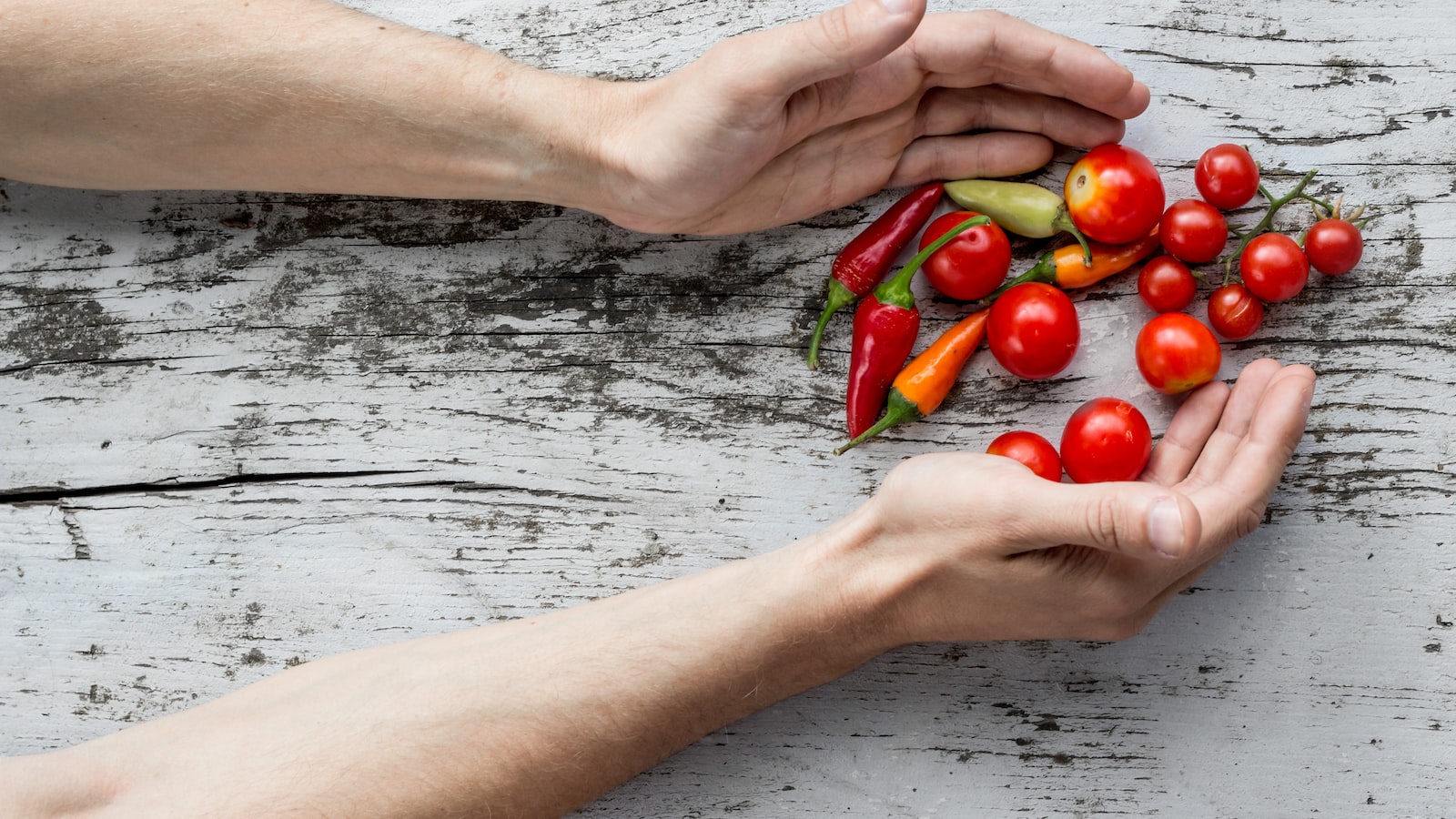 Choosing the Perfect Vegetables for Your October Planting