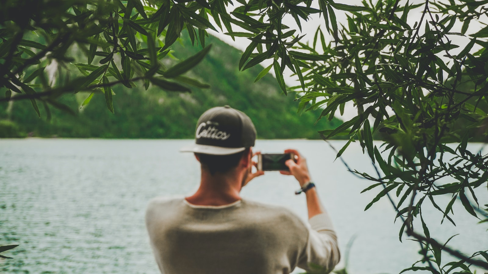 2. Striking the Perfect Balance: Finding the Right Time and Extent for Ligustrum Tree Pruning