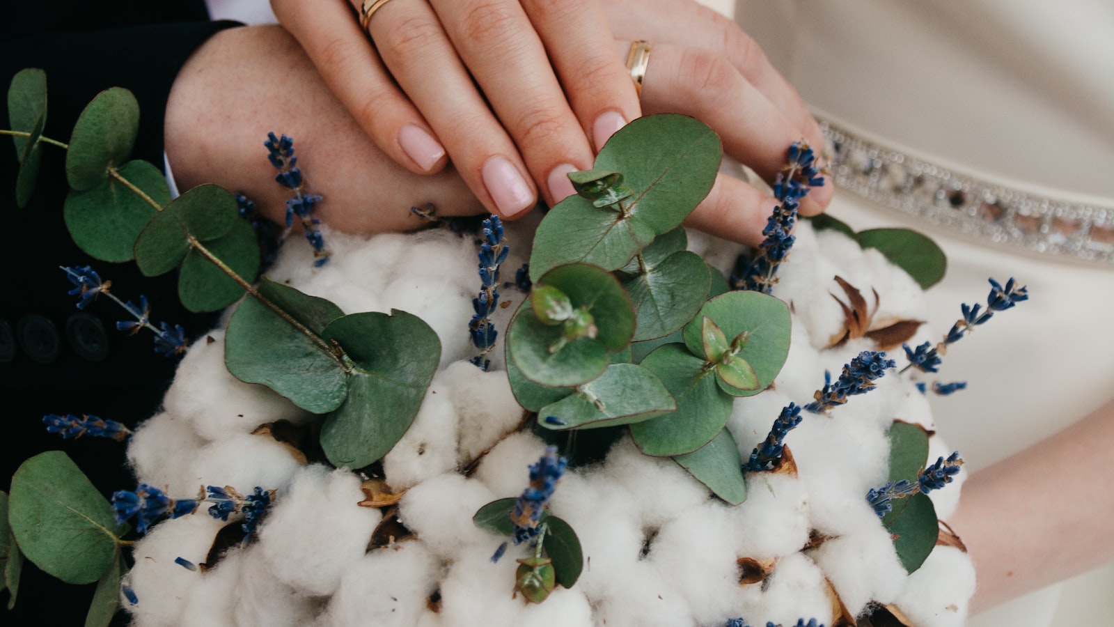 Understanding the Crispy State of Your Eucalyptus Plant: Causes and Solutions