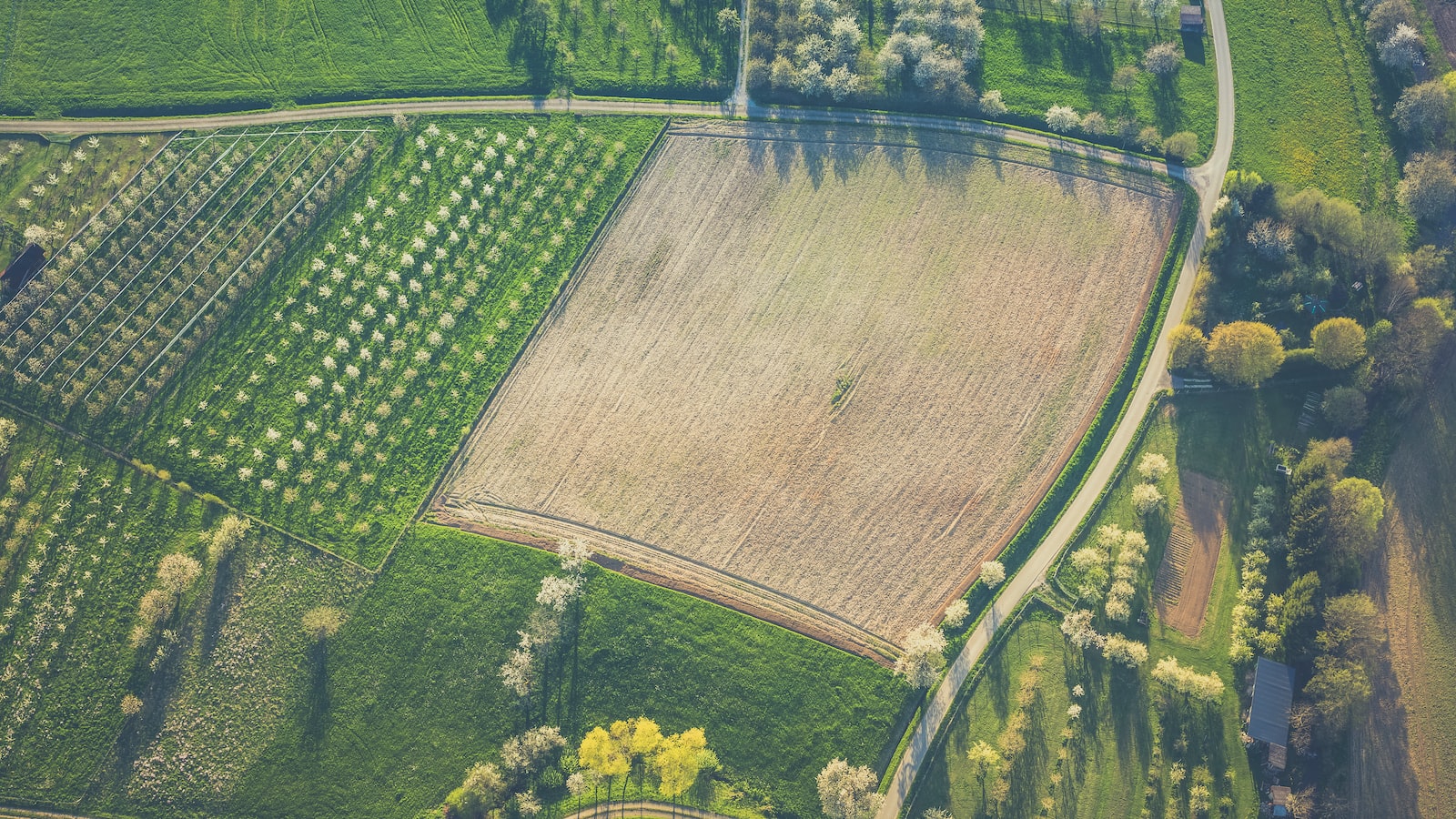 Optimal Growing Conditions for Watermelon in Kansas