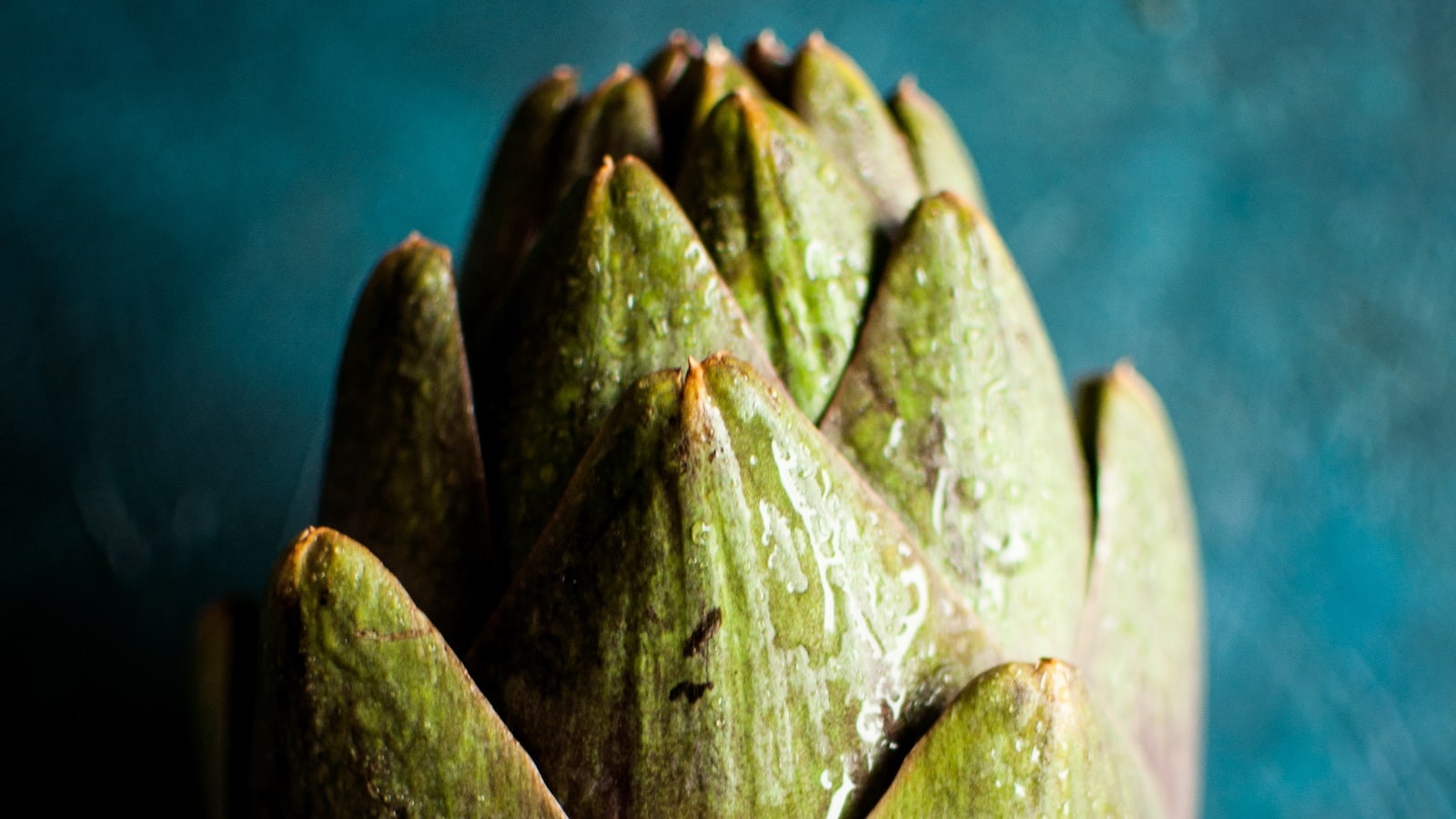 How to Properly Apply Artichoke Water to Optimize Plant Health