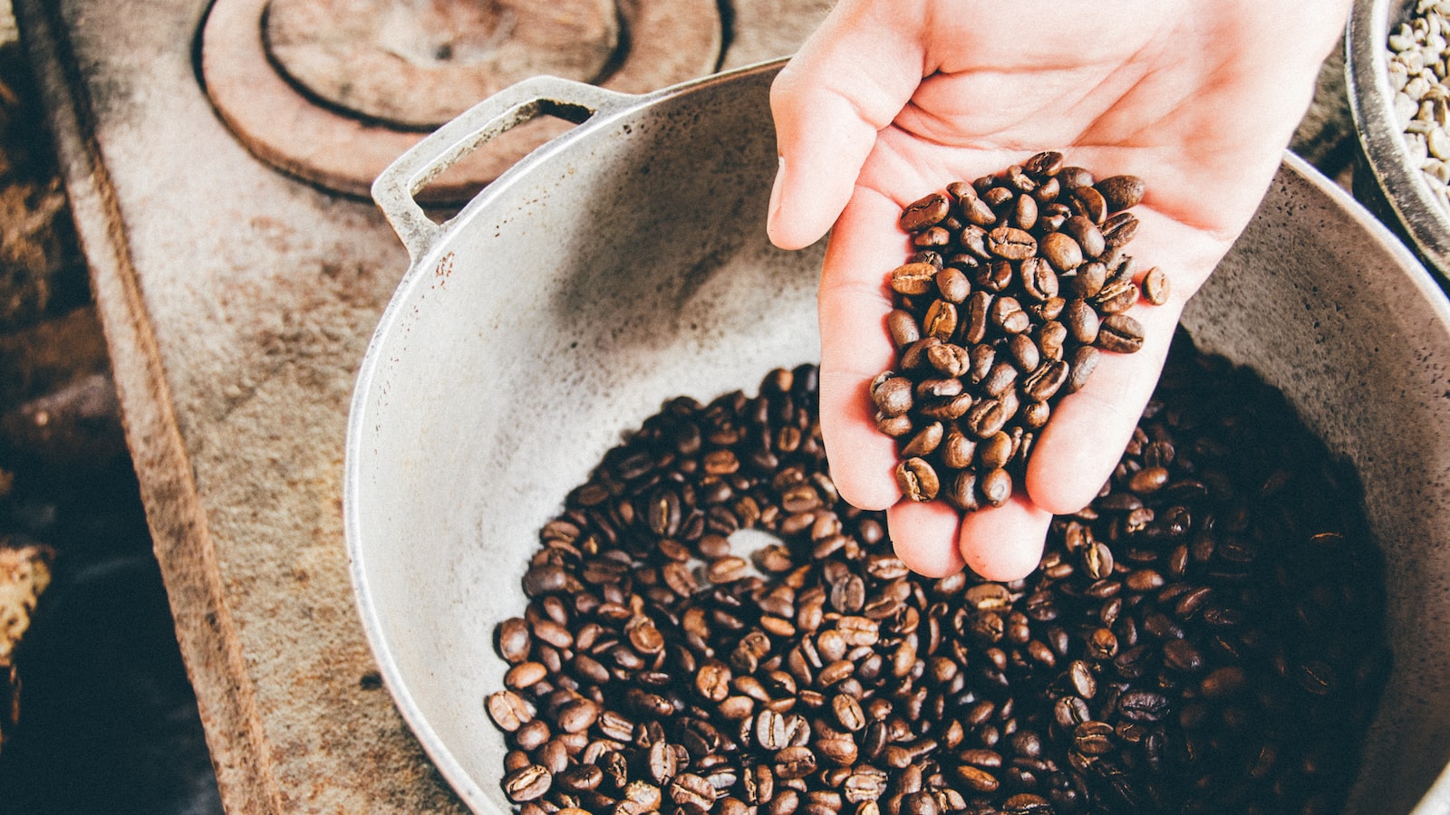 Understanding the Effects of Coffee Grounds on Jalapeno Plant Growth