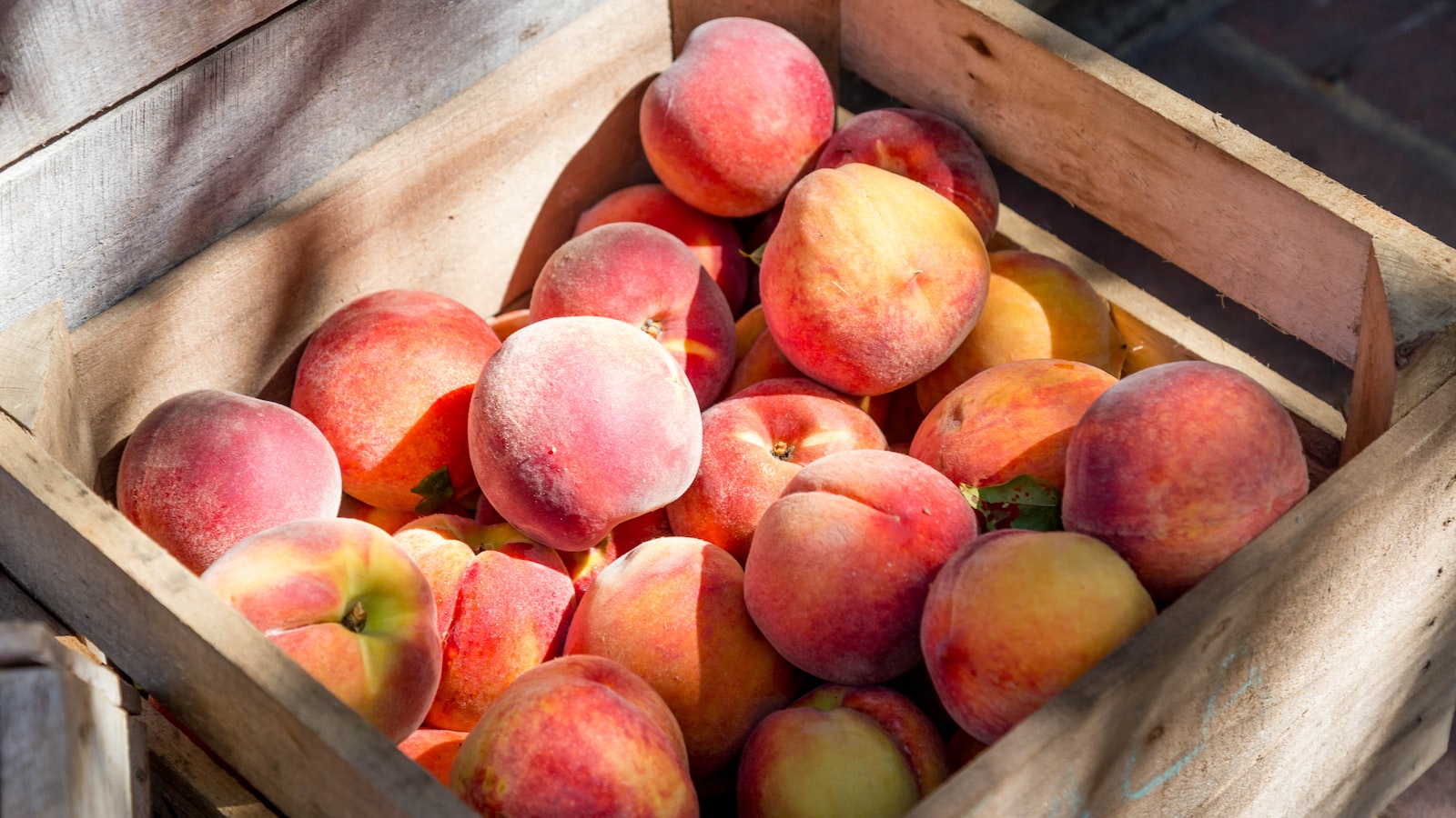 Choosing the Perfect Fruit Trees for Virginia's Climate