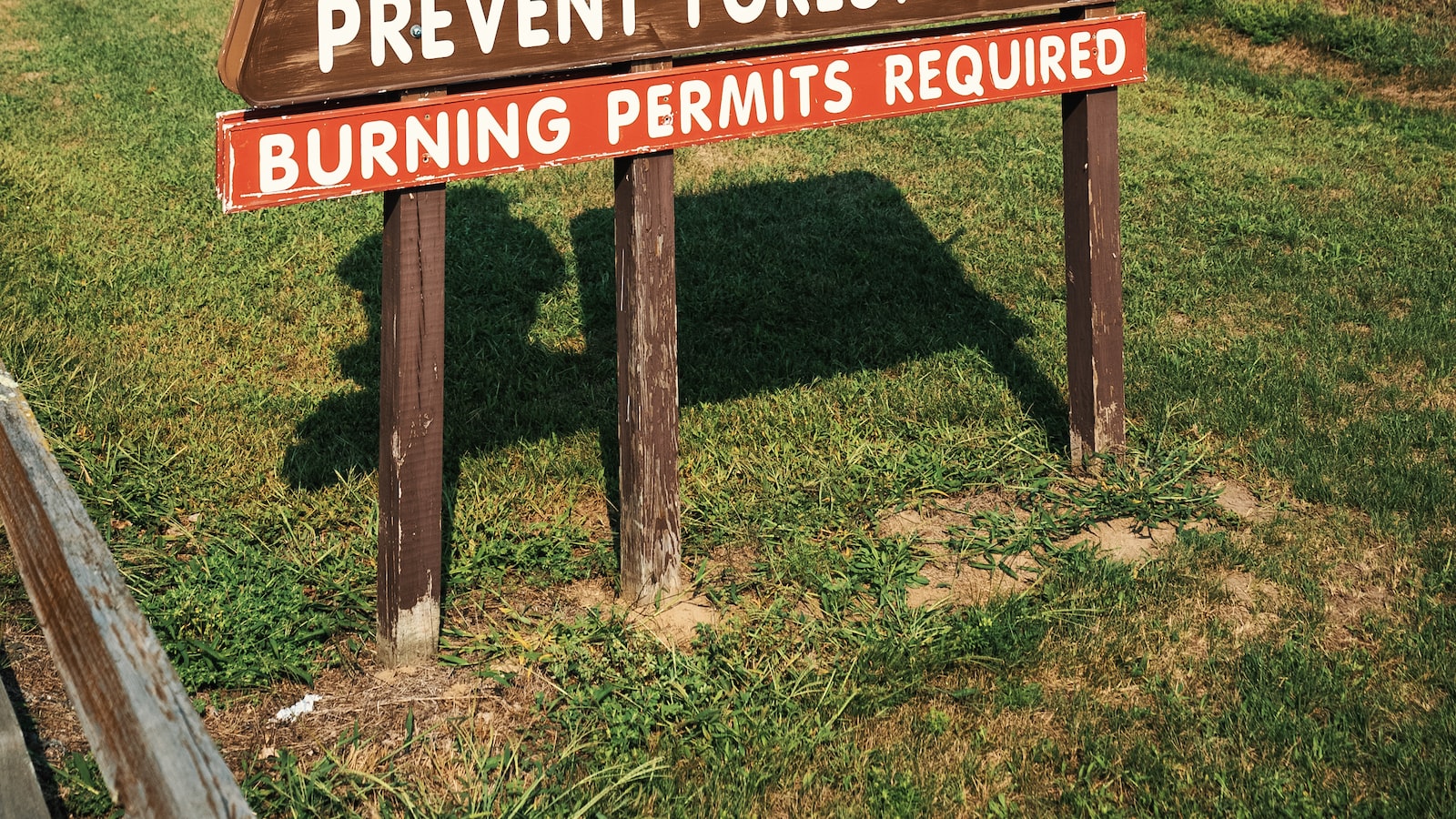 4. Prevent and Protect: Proactive Measures to Keep Burdock Weed at Bay in the Future