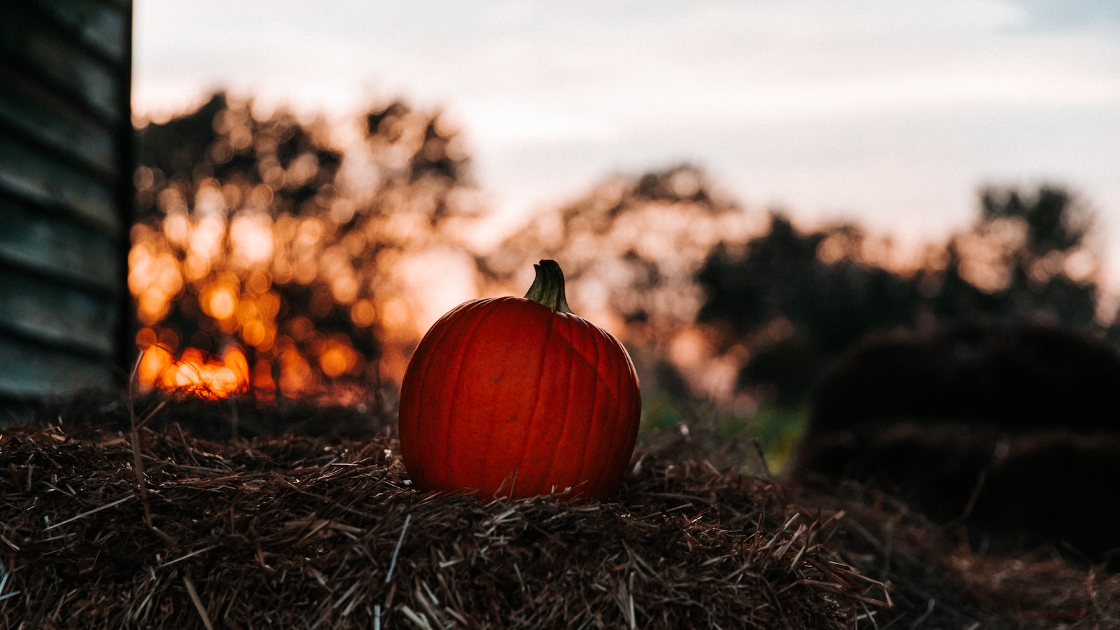 Dispelling the Myth: Understanding the Growth Habits ​of Melons