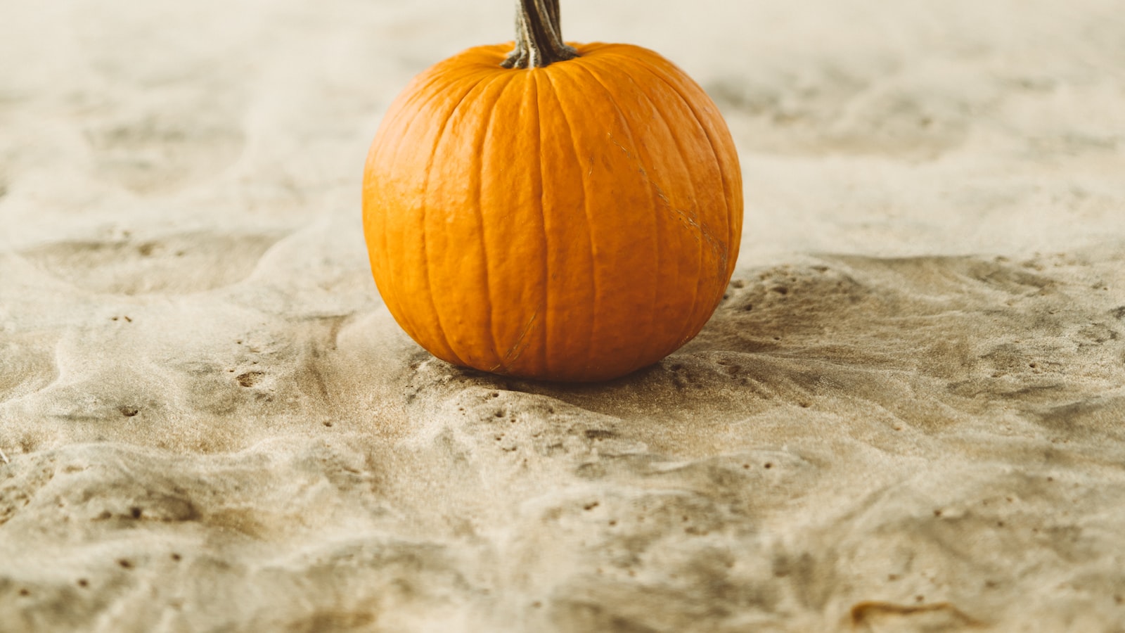 Optimal Timing for Planting Pumpkin Seeds in Michigan