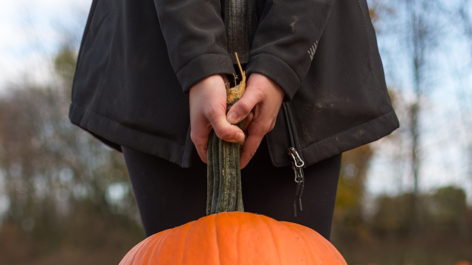 Unraveling the Factors that Influence the Number of Seeds in an Average Pumpkin