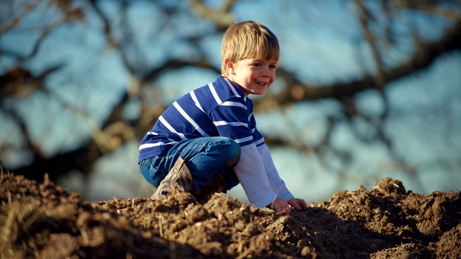 Best Practices and Recommendations for Planting Tomatoes and Beans Together