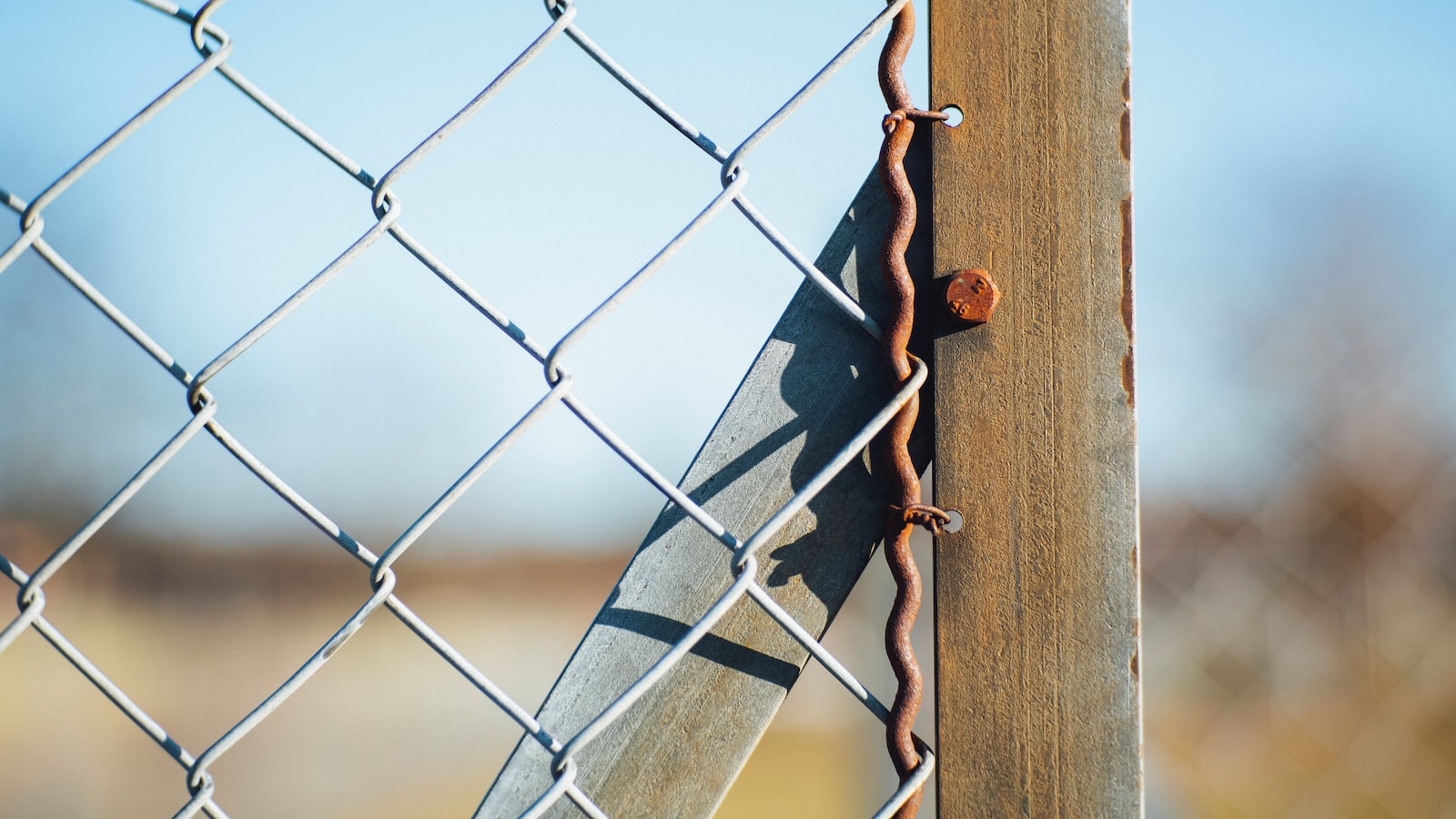 Preventing and Managing Milkweed Intoxication in Horses