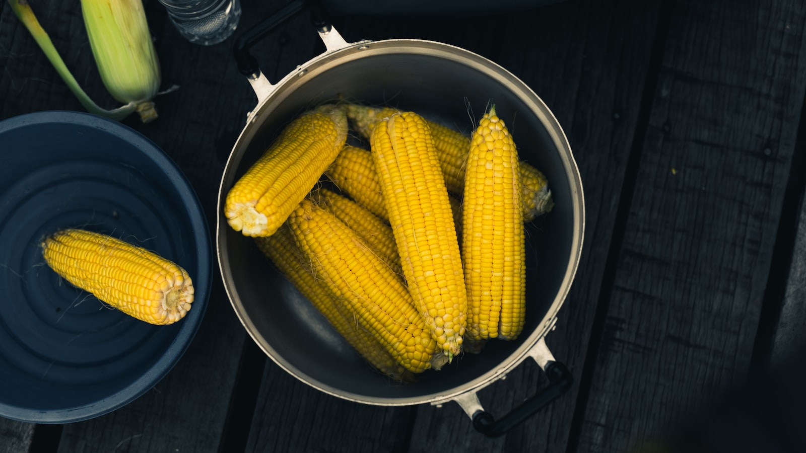 Can Corn Cobs be Composted?