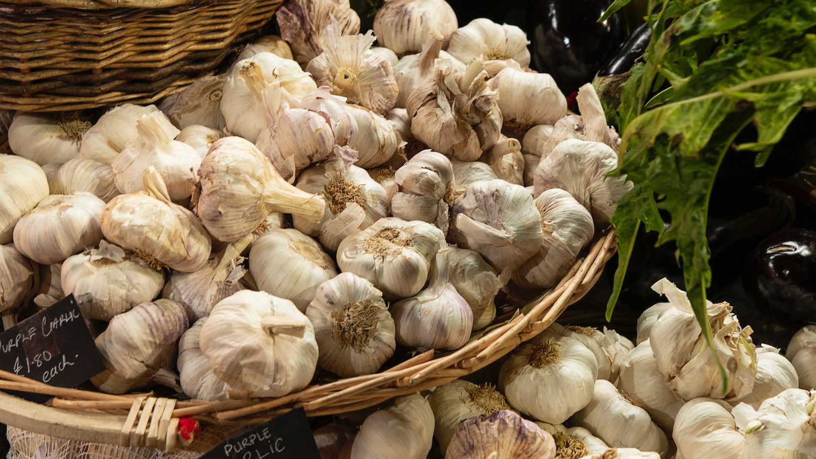 A Step-by-Step Guide for Planting Garlic in Colorado's Unique Climate